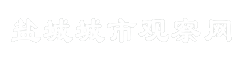 盐城城市观察网